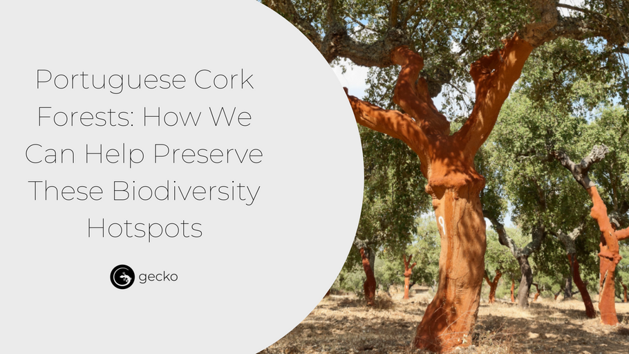Portuguese Cork Forests: How to Preserve These Biodiversity Hotspots